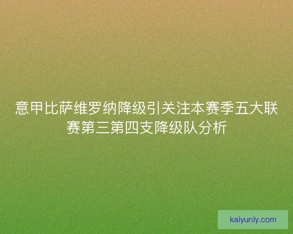 意甲比萨维罗纳降级引关注本赛季五大联赛第三第四支降级队分析